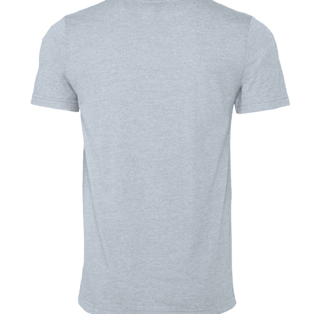 Heather Prism Blue - 3001CVC - BACK