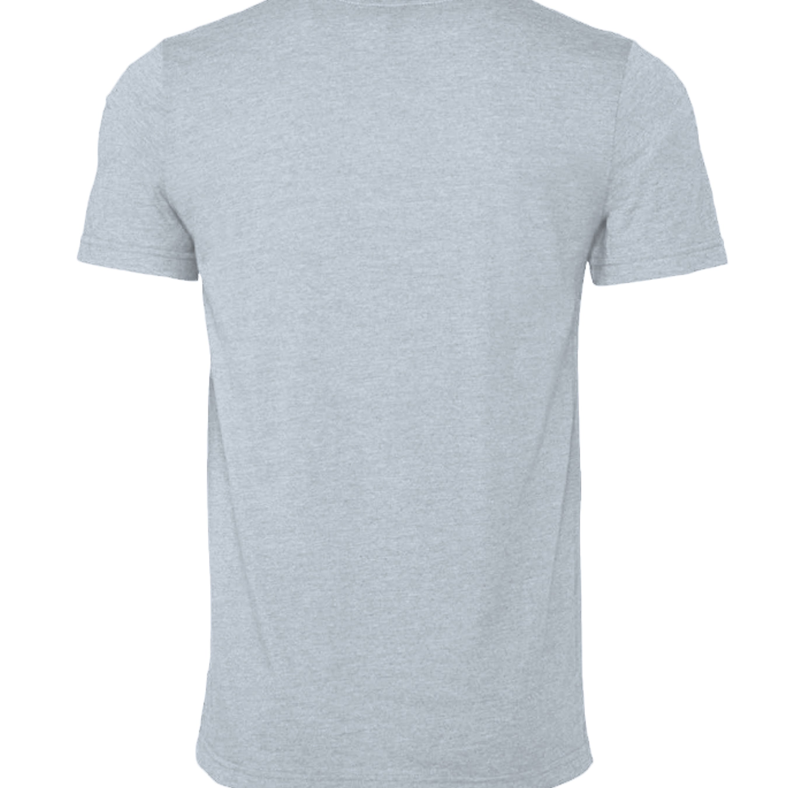 Heather Prism Blue - 3001CVC - BACK